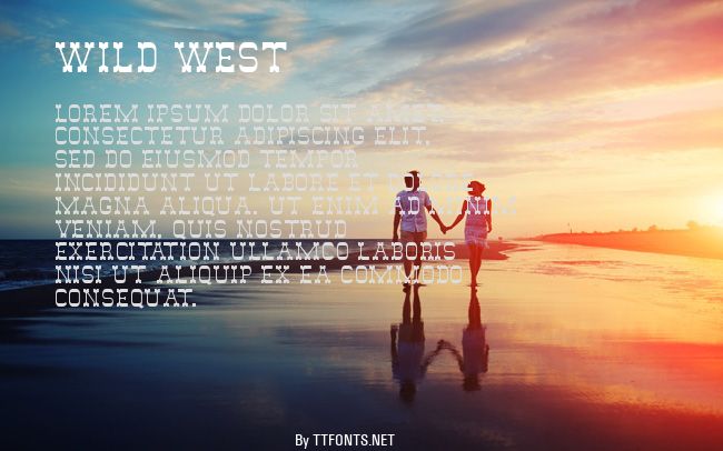 Wild West example